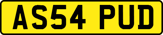 AS54PUD