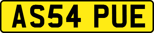 AS54PUE