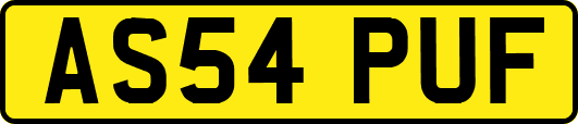 AS54PUF