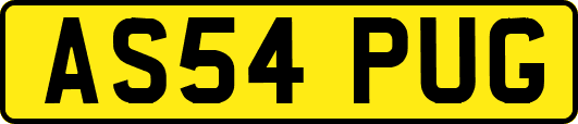 AS54PUG