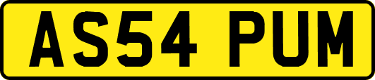 AS54PUM
