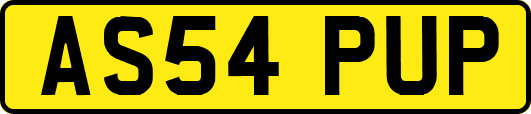 AS54PUP