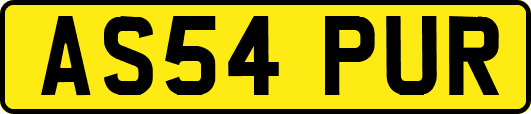 AS54PUR