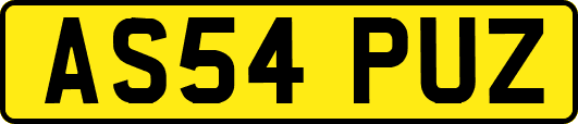 AS54PUZ