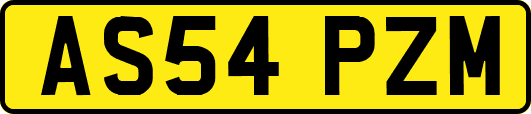 AS54PZM