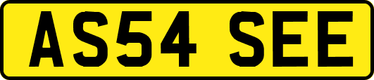 AS54SEE