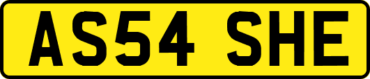 AS54SHE