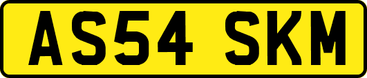 AS54SKM
