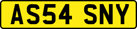 AS54SNY