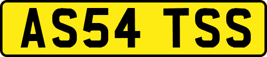 AS54TSS