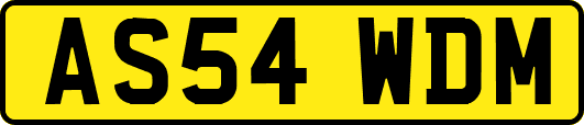 AS54WDM