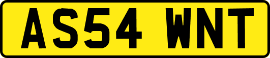 AS54WNT