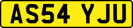 AS54YJU