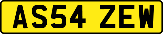 AS54ZEW