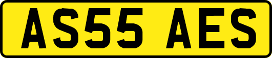 AS55AES