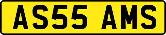 AS55AMS