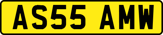 AS55AMW