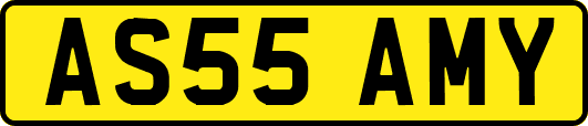 AS55AMY