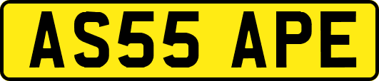AS55APE