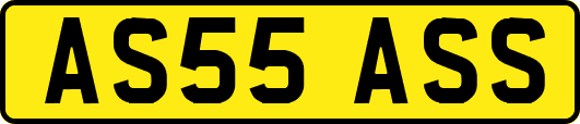 AS55ASS