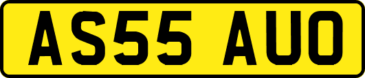 AS55AUO