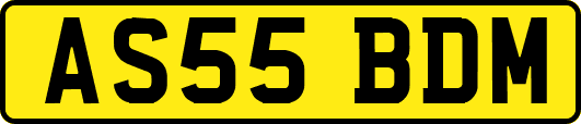 AS55BDM