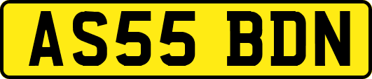 AS55BDN