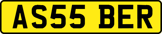 AS55BER