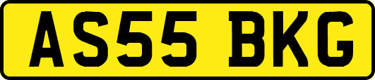 AS55BKG