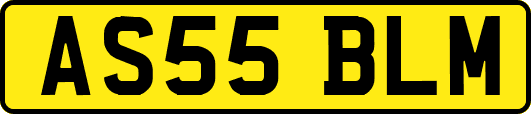 AS55BLM