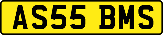 AS55BMS