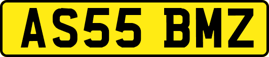 AS55BMZ