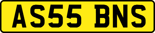 AS55BNS
