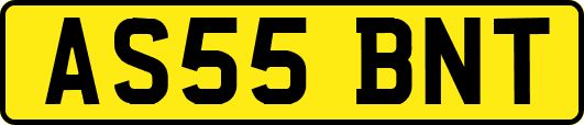 AS55BNT