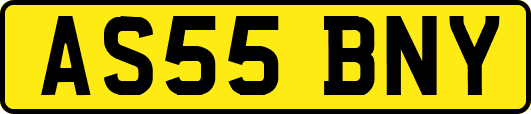 AS55BNY
