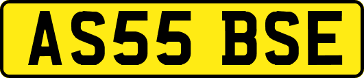 AS55BSE
