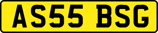 AS55BSG