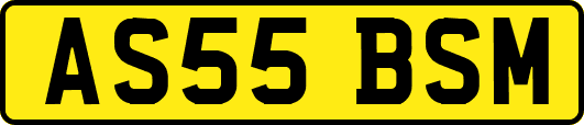 AS55BSM