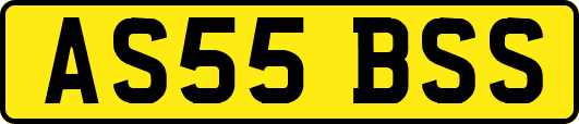 AS55BSS