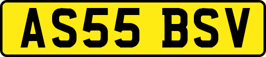AS55BSV