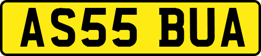 AS55BUA