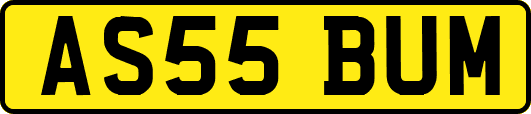 AS55BUM