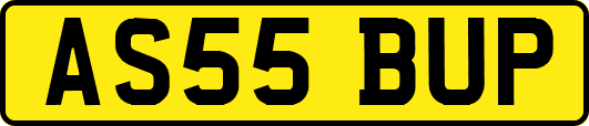 AS55BUP