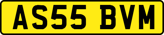 AS55BVM