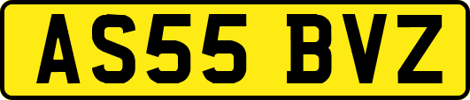 AS55BVZ