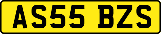 AS55BZS
