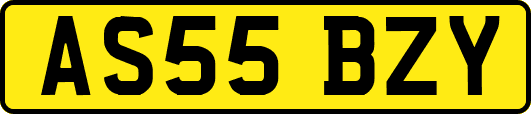 AS55BZY