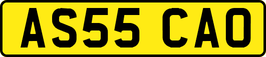 AS55CAO
