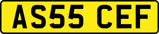 AS55CEF
