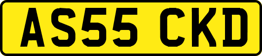 AS55CKD